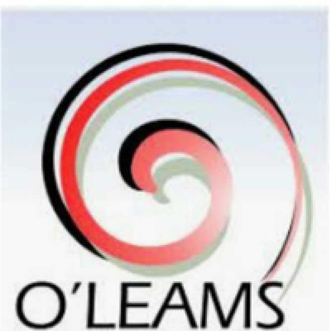 Senior Sales Leader at Oleams Oilfield Services Limited