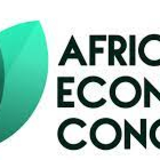 Camera Specialist at The African Economic Congress