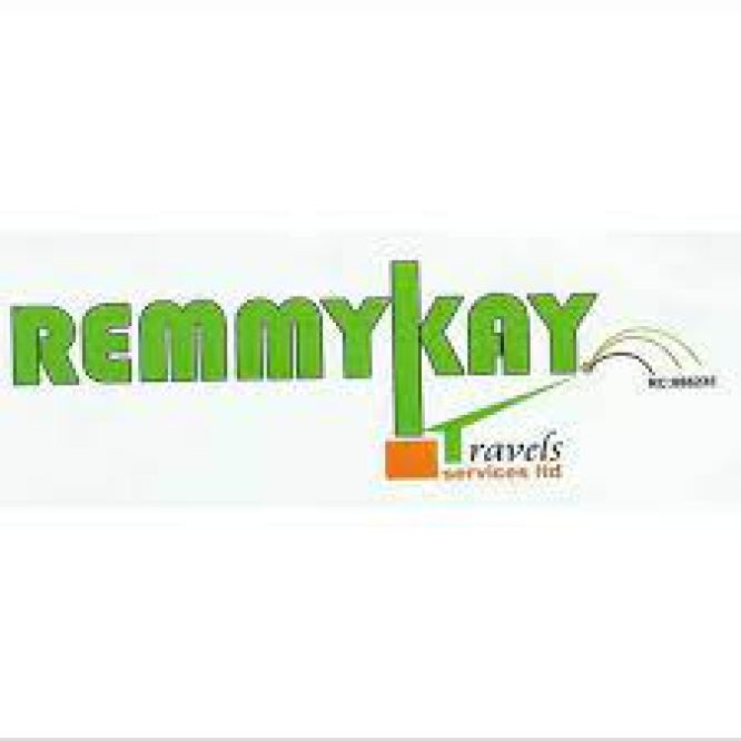 Field Marketing Executive Job Application at Remmykay Travels Limited