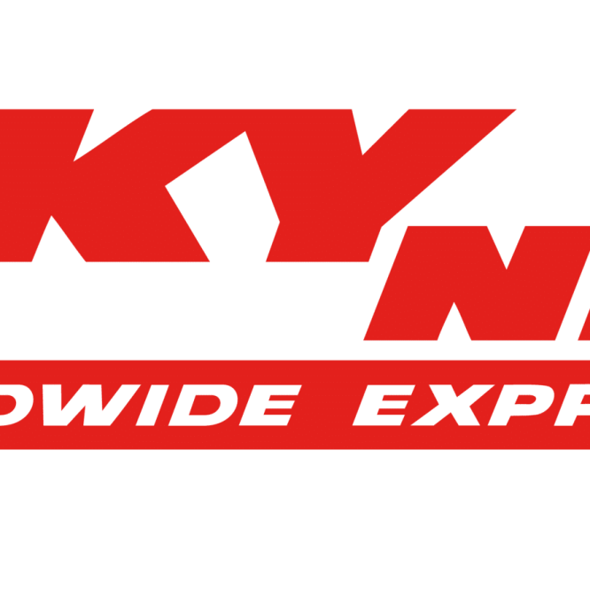 Sales Executives Wanted at Skynet Logistics