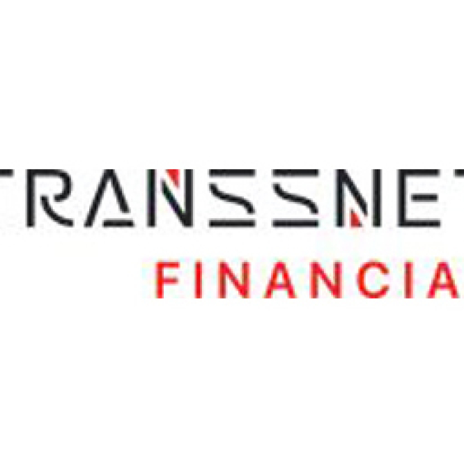 Digital Marketing Executive at Transsnet Financial